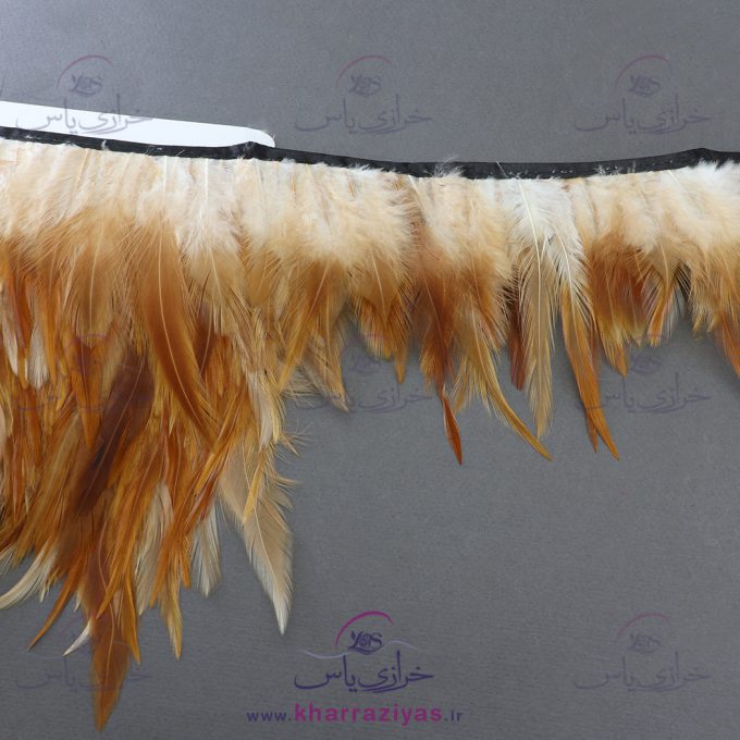 پر خروسی متری کرم