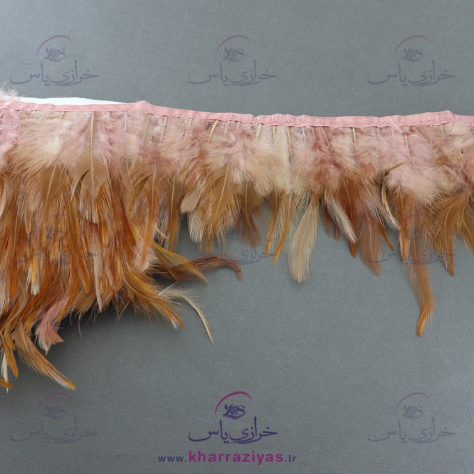 پر خروسی متری کالباسی