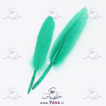 پر دریم کچر طبیعی عددی سبز